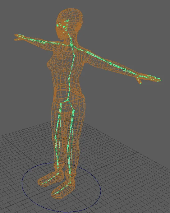 Character model rigged using a skeleton of joints.